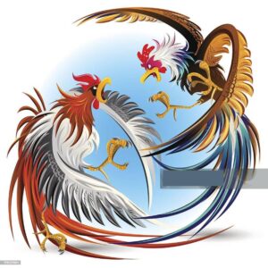 Cách Xem Màu Mạng Gà Đá Theo Ngày Để Chọn Kèo Chuẩn Xác