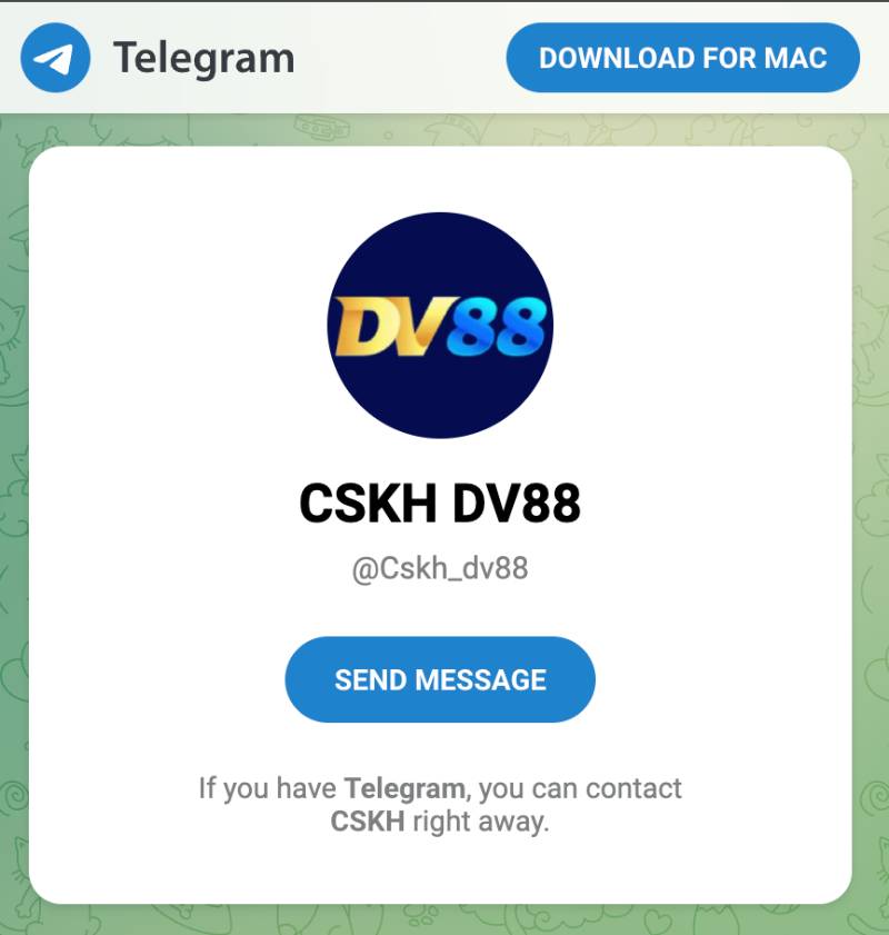 Liên hệ qua Telegram