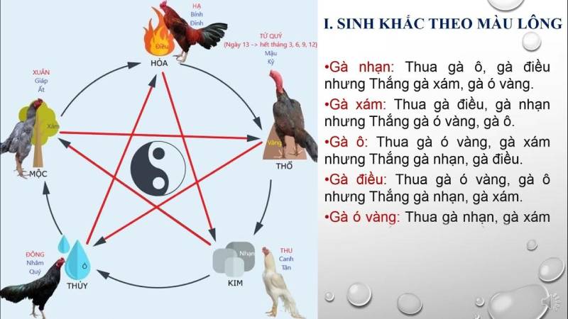 Thực tế: Coi ngày ngũ hành có thật sự mang lại chiến thắng?