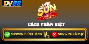 Website Sunwin Giả Cảnh Báo Về Các Rủi Ro Trực Tuyến